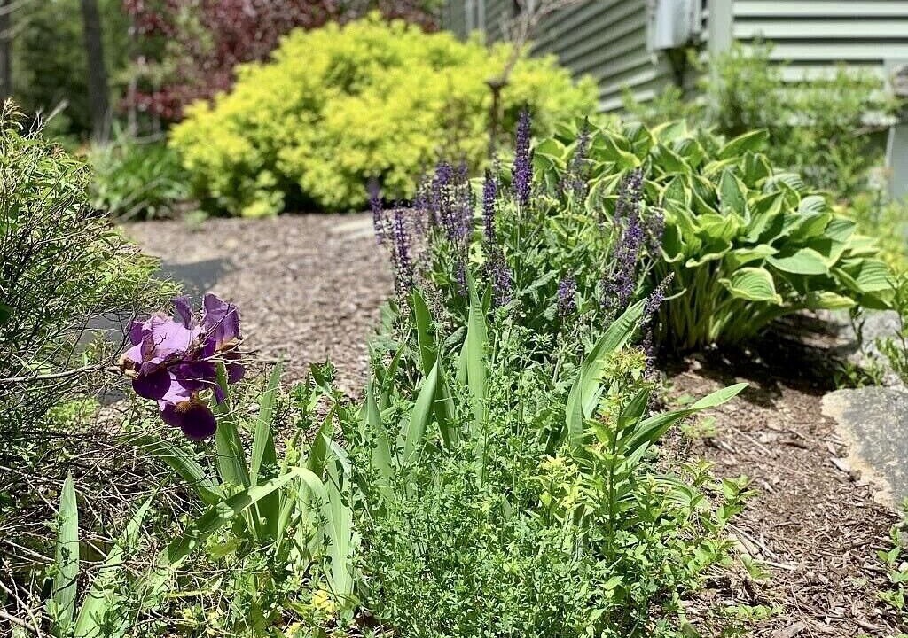 Photo of Outdoor in Otis