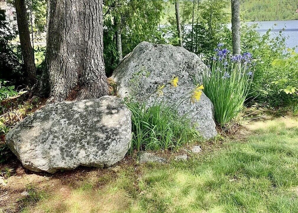 Photo of Outdoor in Otis