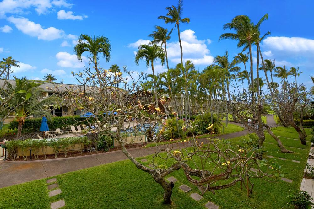 Photo of Outdoor in Napili