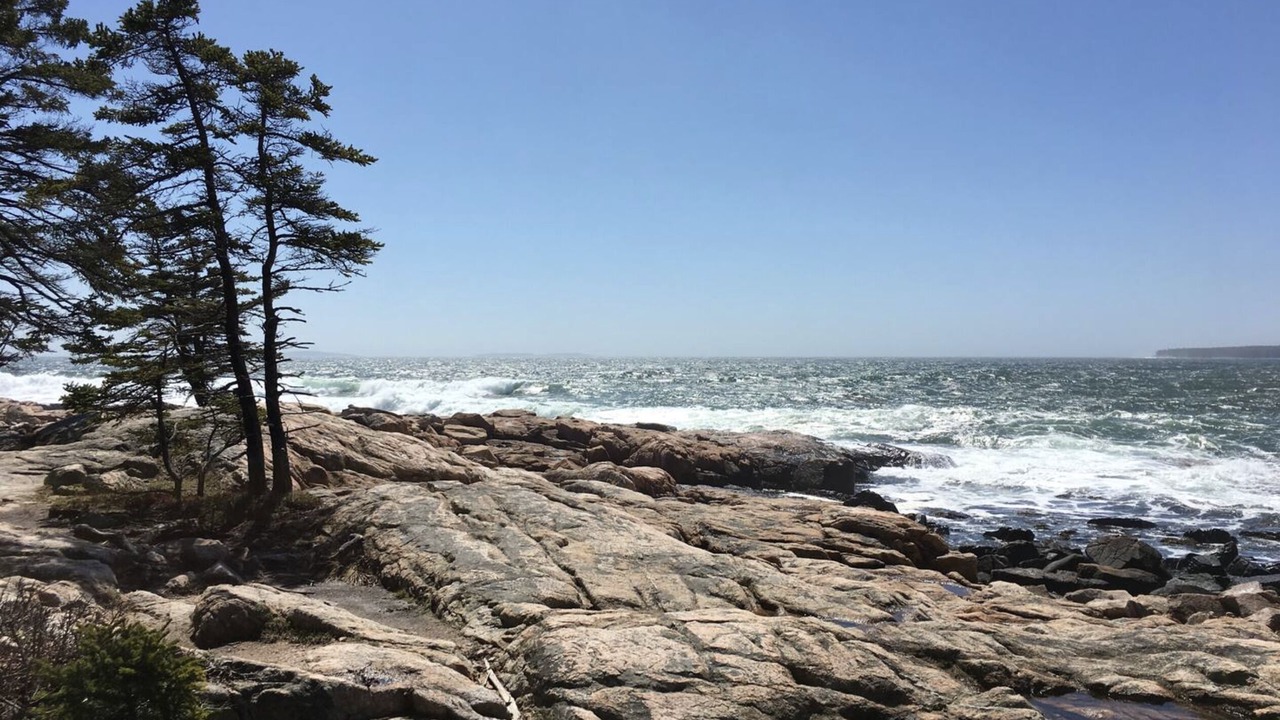 Photo of Others in Southwest Harbor