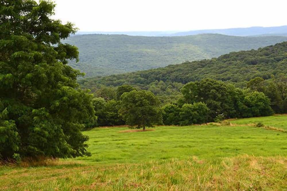 Photo of Outdoor in West Fork