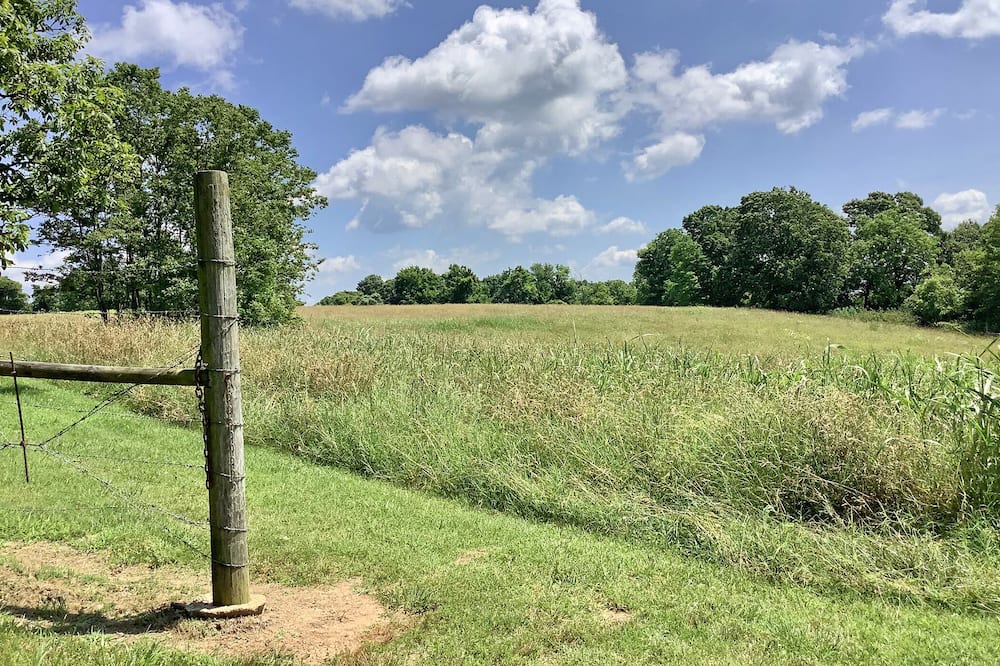 Photo of Outdoor in West Fork