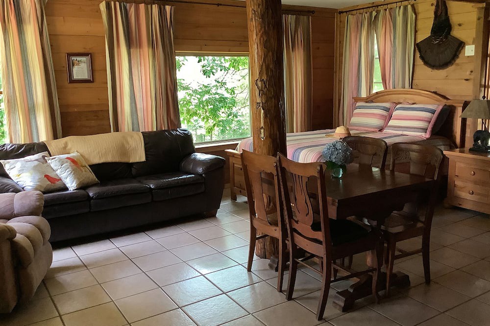 Photo of Livingroom in West Fork