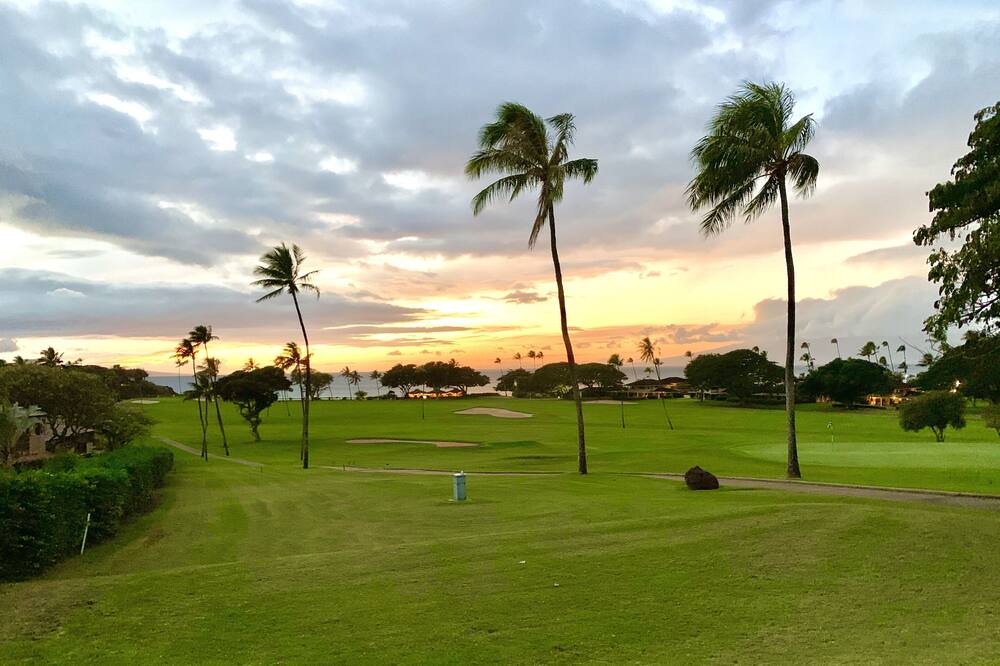 Photo of Others in Kaanapali