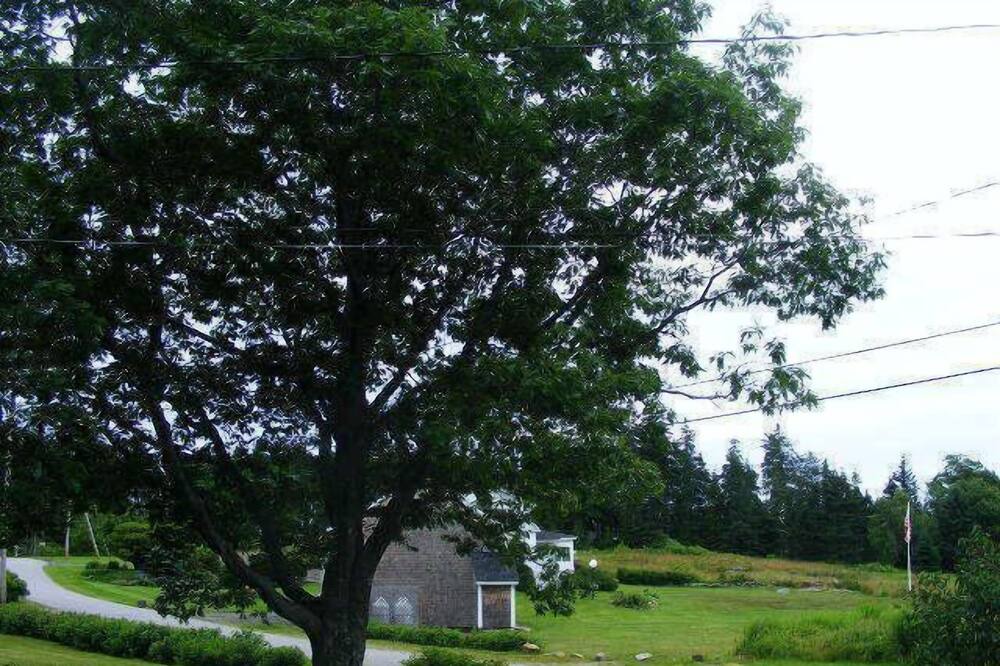 Photo of Others in Pleasant Point
