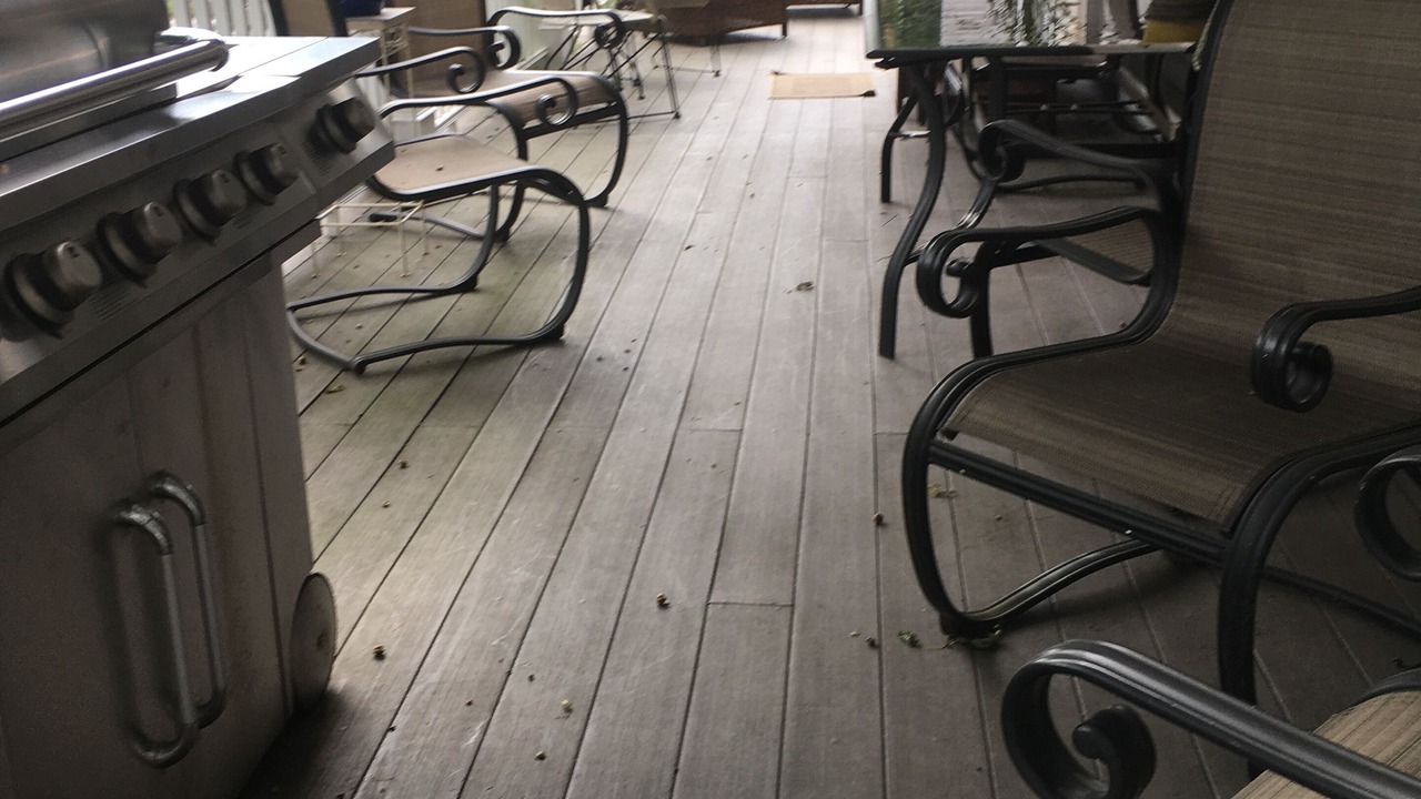 Photo of Outdoor in Rosemont