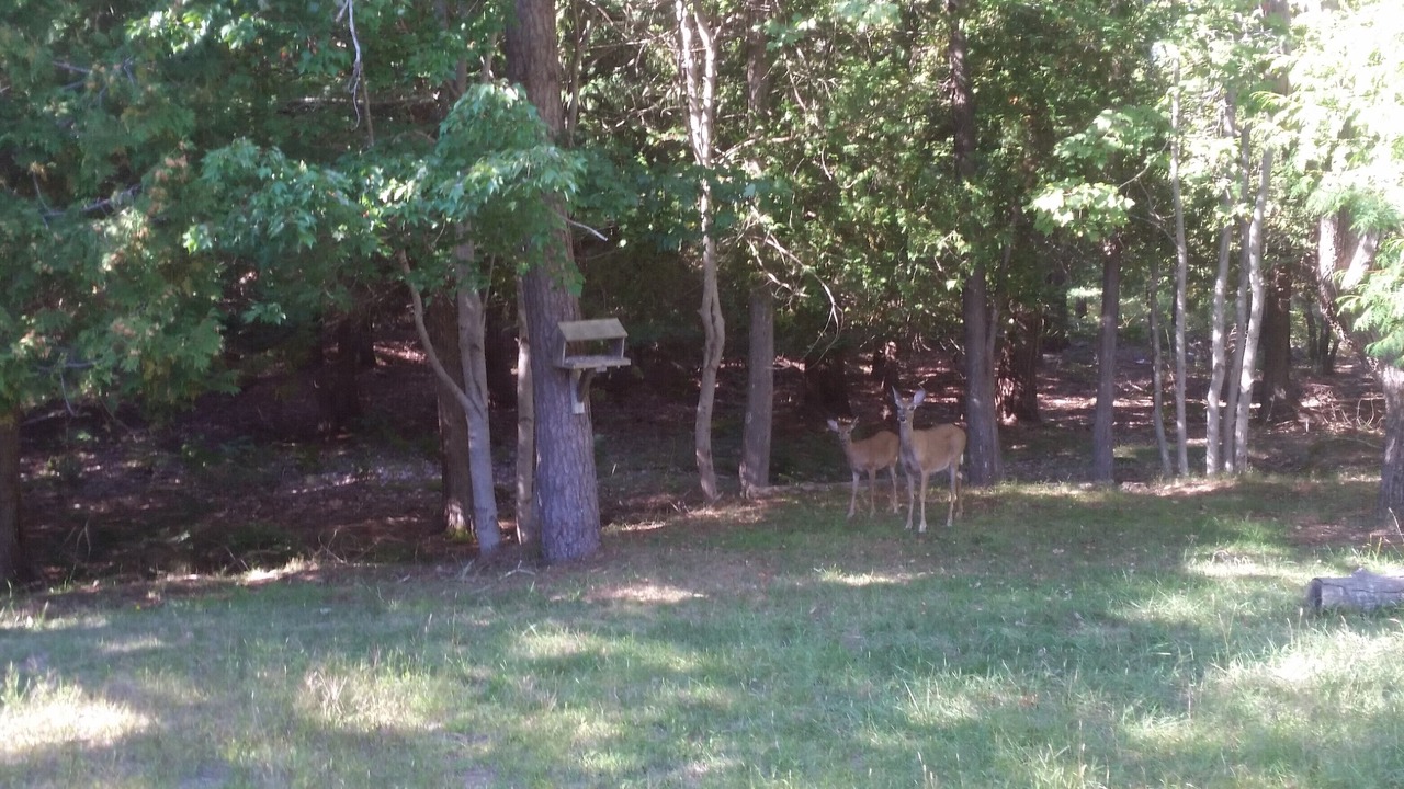 Photo of Outdoor in Hall Quarry