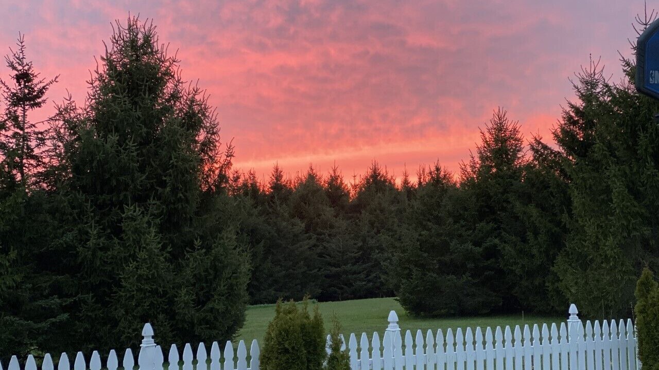 Photo of Outdoor in Bemus Point