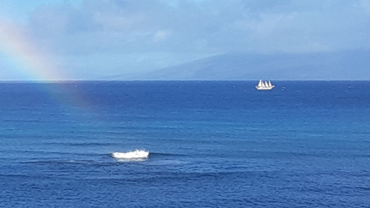 Photo of Others in Kahana