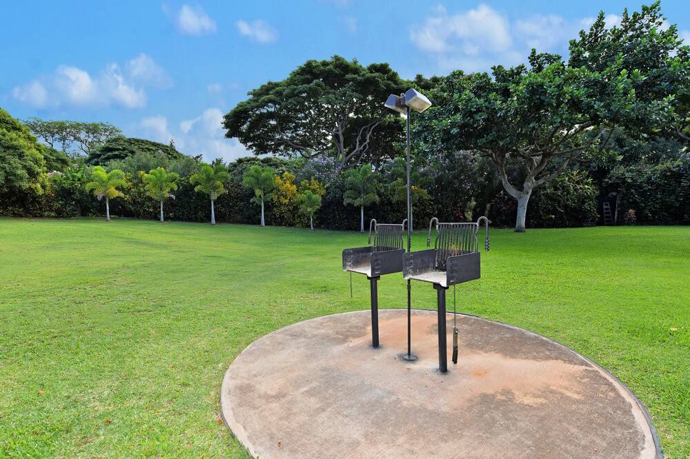 Photo of Outdoor in Wailea