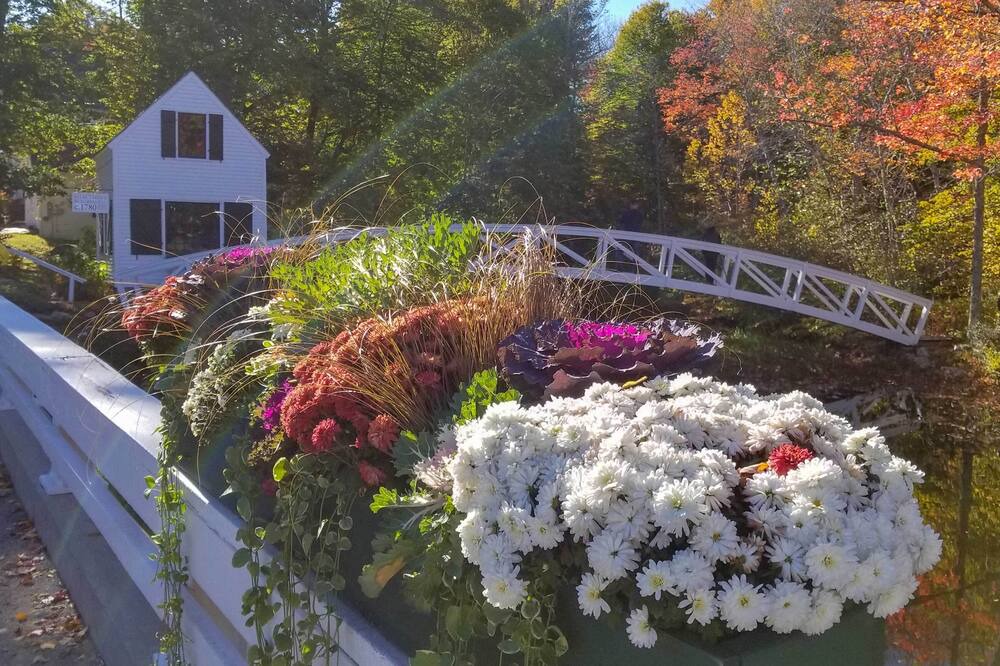 Photo of Outdoor in Trenton