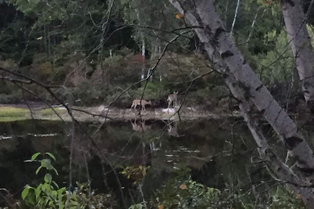Photo of Others in Standish