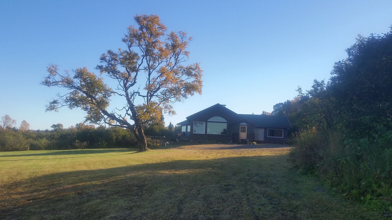 Photo of Outdoor in Ninilchik