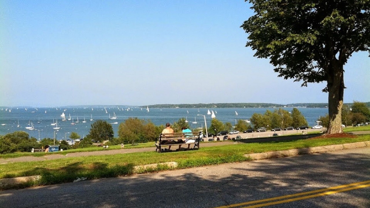 Photo of Others in Munjoy Hill