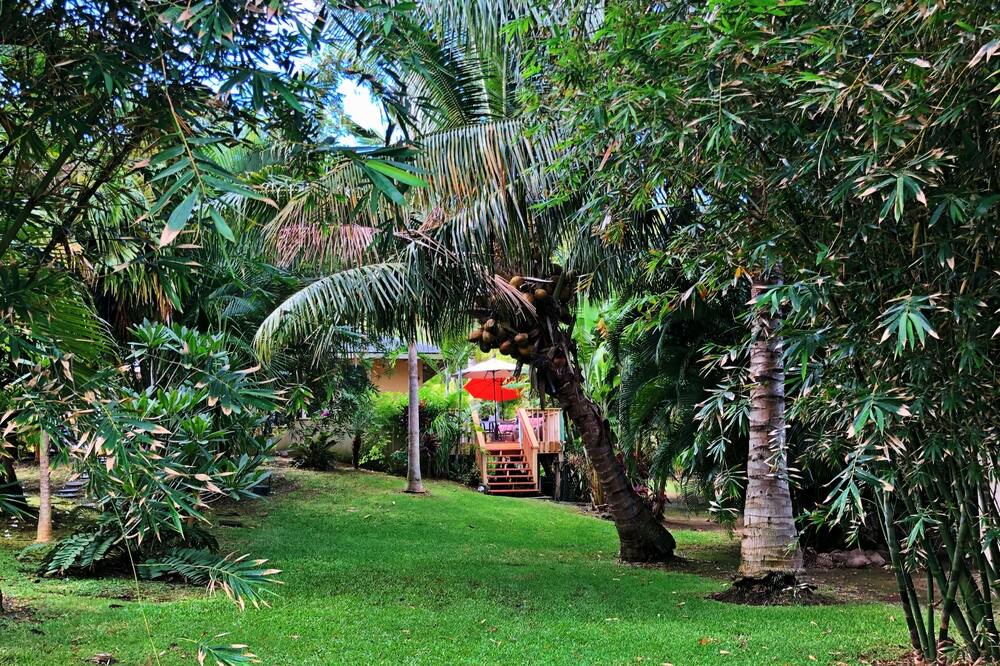 Photo of Outdoor in Kahului