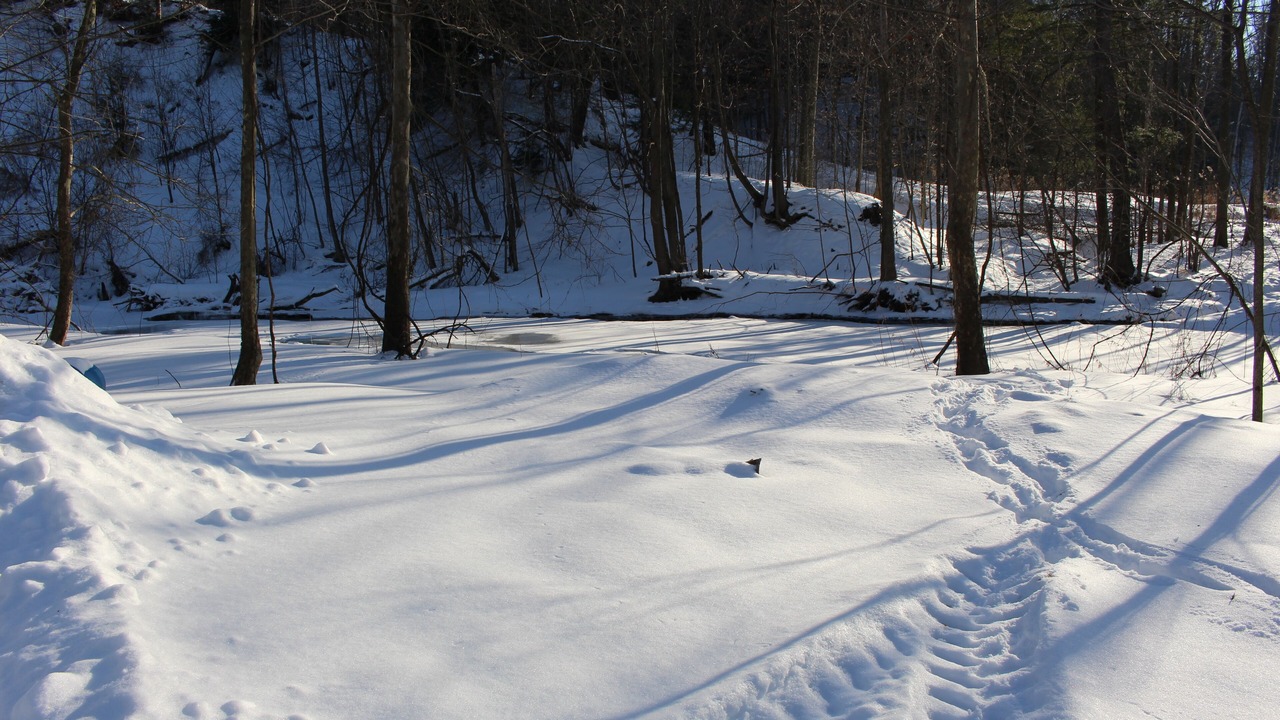 Photo of Others in Forestville