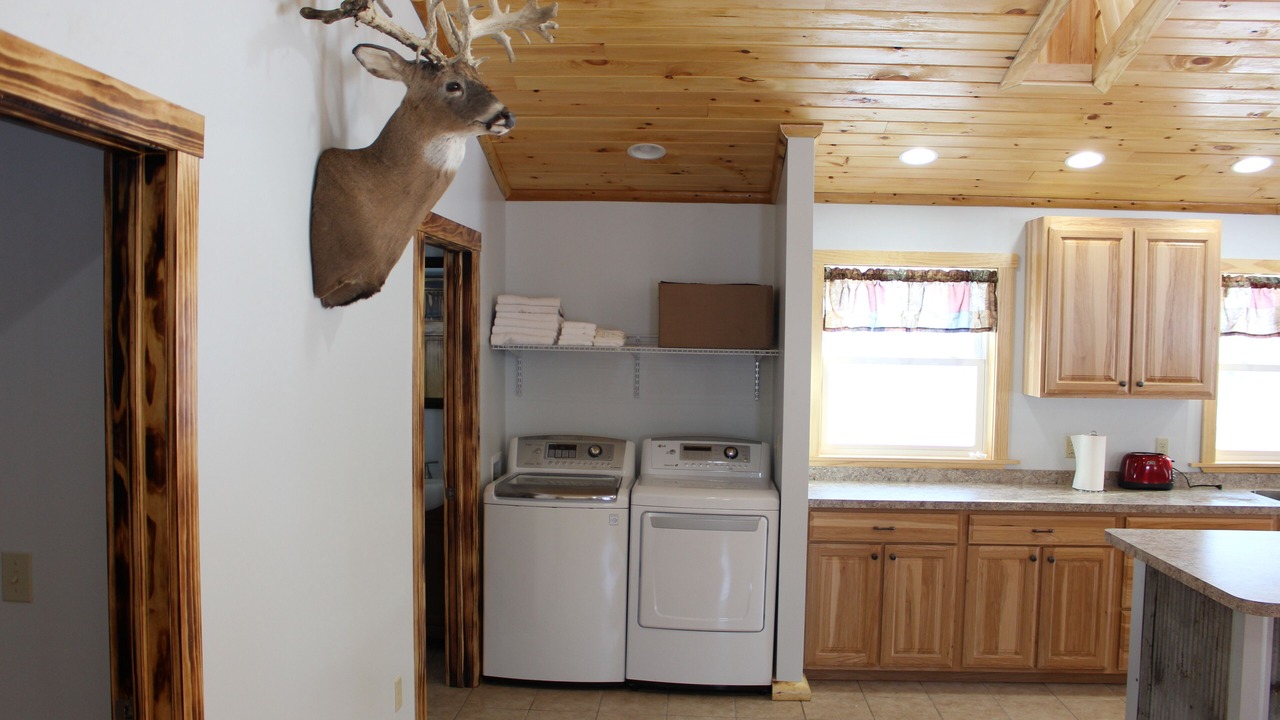 Photo of Kitchen in Forestville
