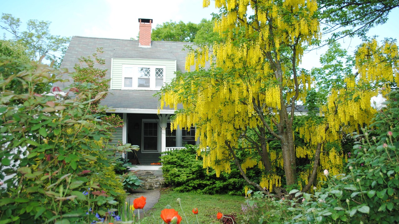 Photo of Outdoor in Loveitts Field