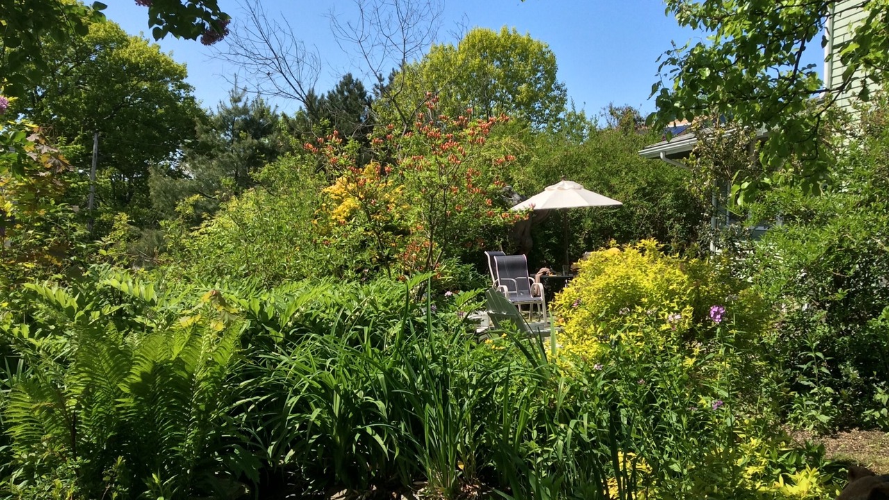 Photo of Outdoor in Loveitts Field