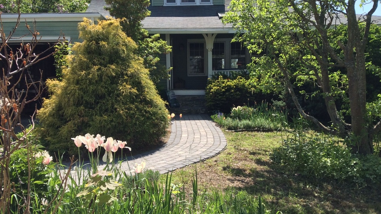 Photo of Outdoor in Loveitts Field