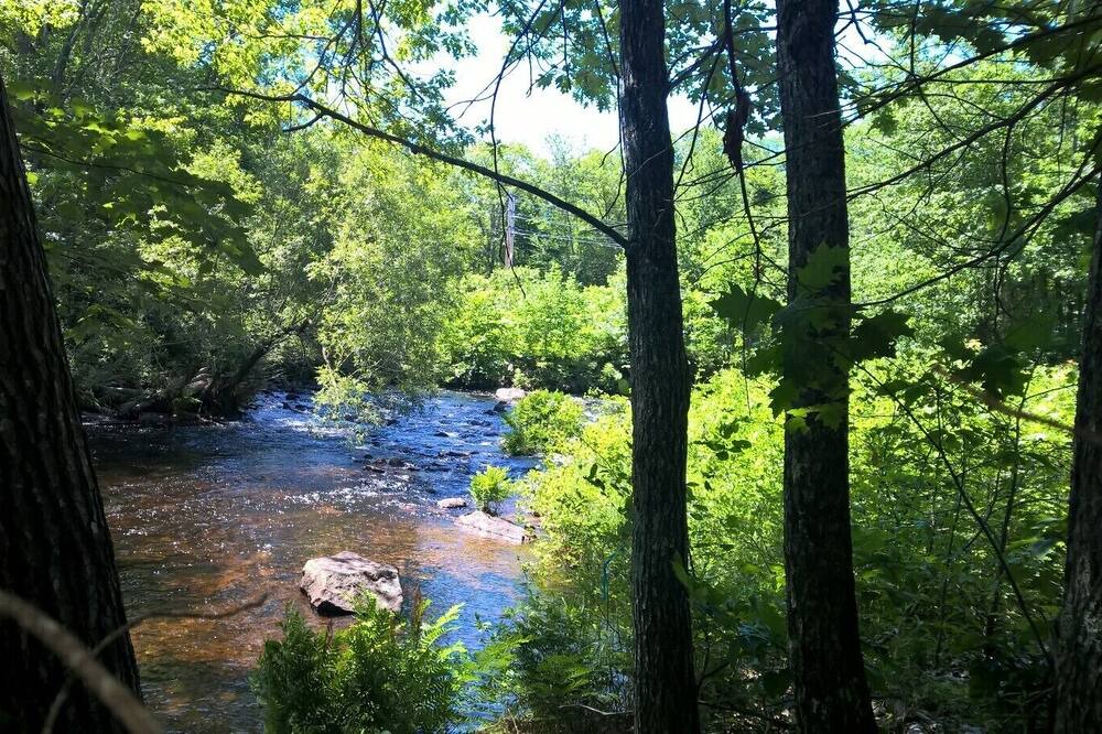 Photo of Others in Bridgton