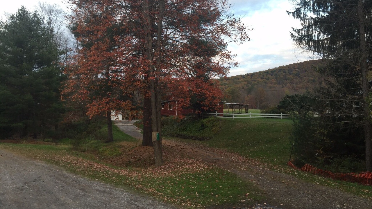 Photo of Outdoor in Benezette