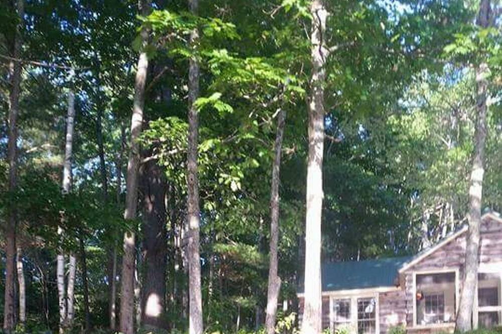 Photo of Outdoor in Richmond