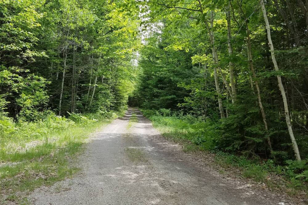 Photo of Others in Rangeley