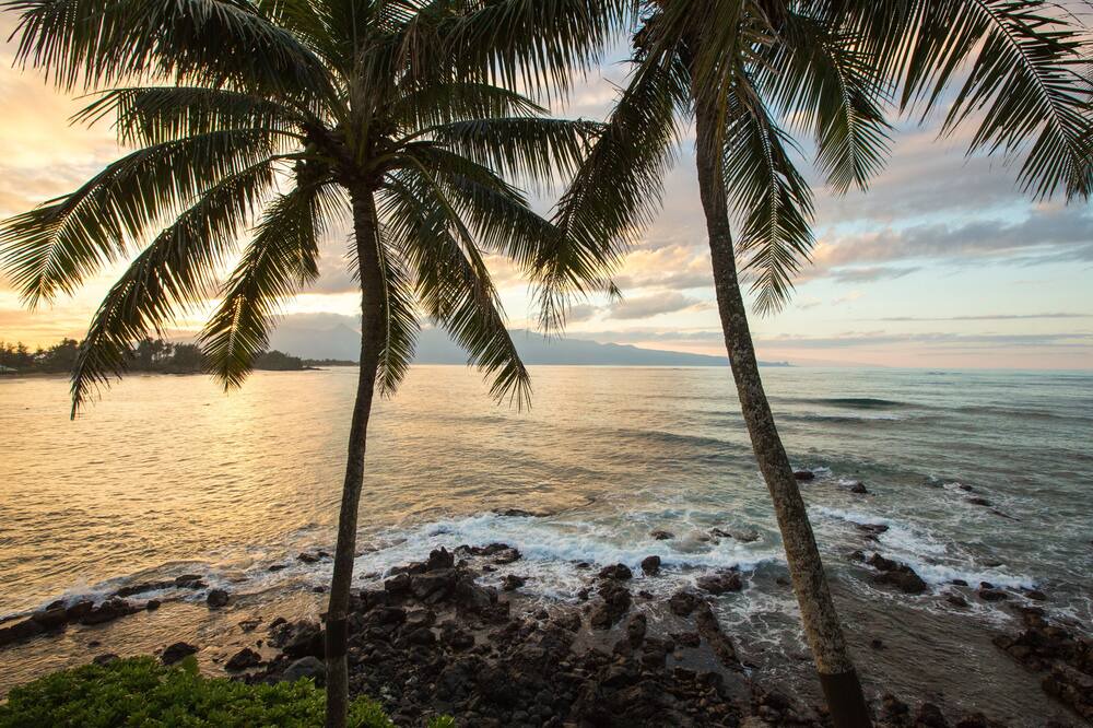 Photo of Others in Paia
