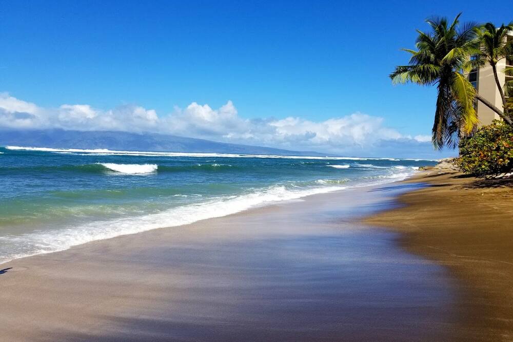 Photo of Others in Kahana