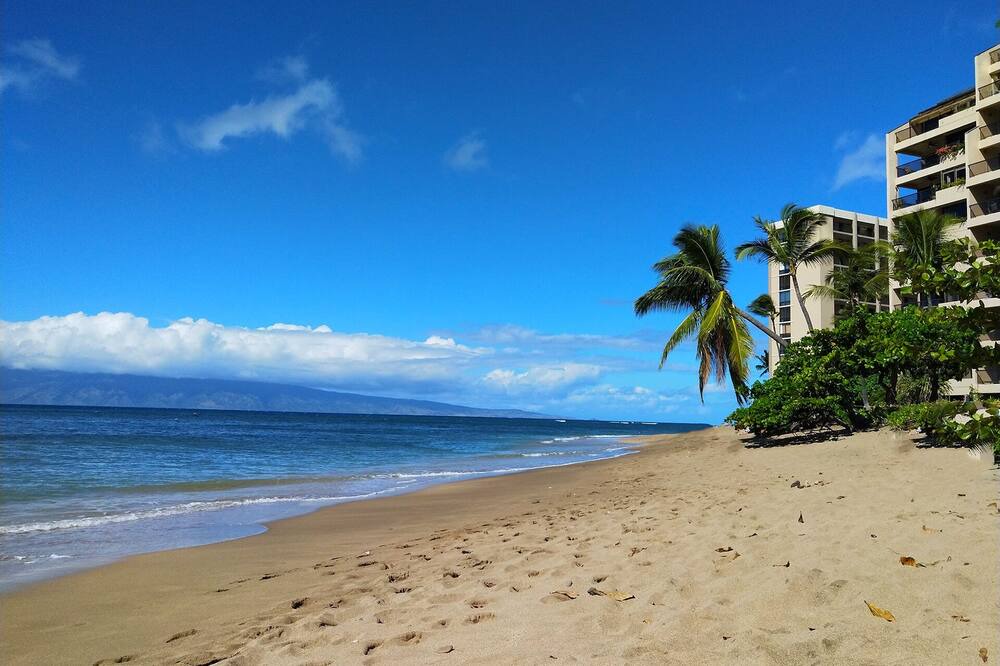 Photo of Others in Kahana