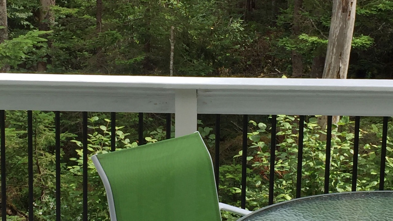 Photo of Outdoor in Bernard