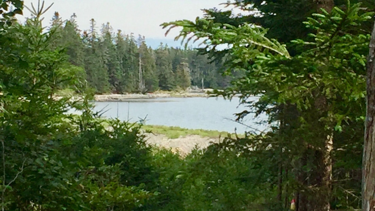 Photo of Outdoor in Bernard