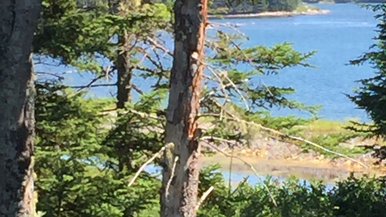 Photo of Outdoor in Bernard