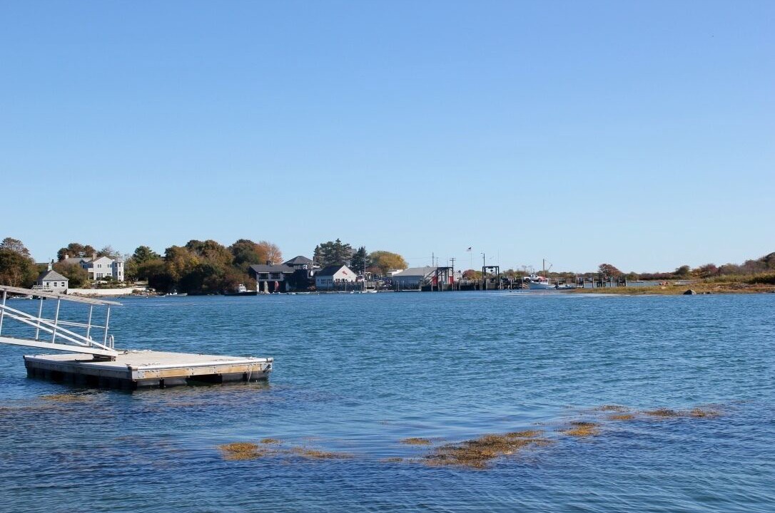 Photo of Others in Cape Porpoise