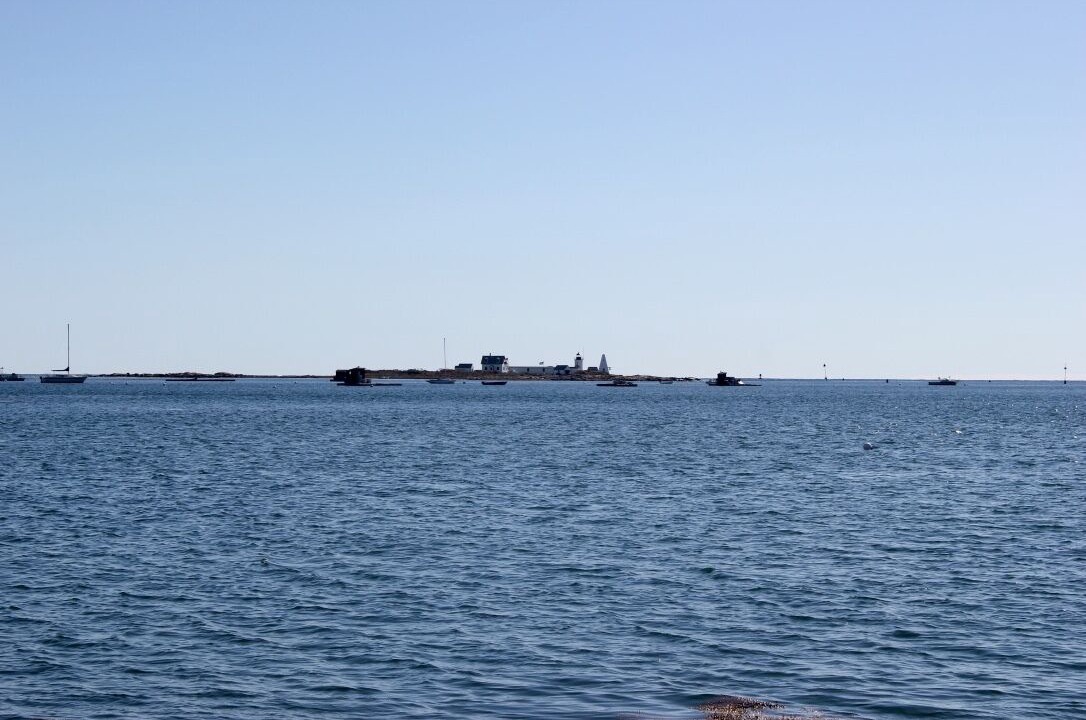 Photo of Others in Cape Porpoise