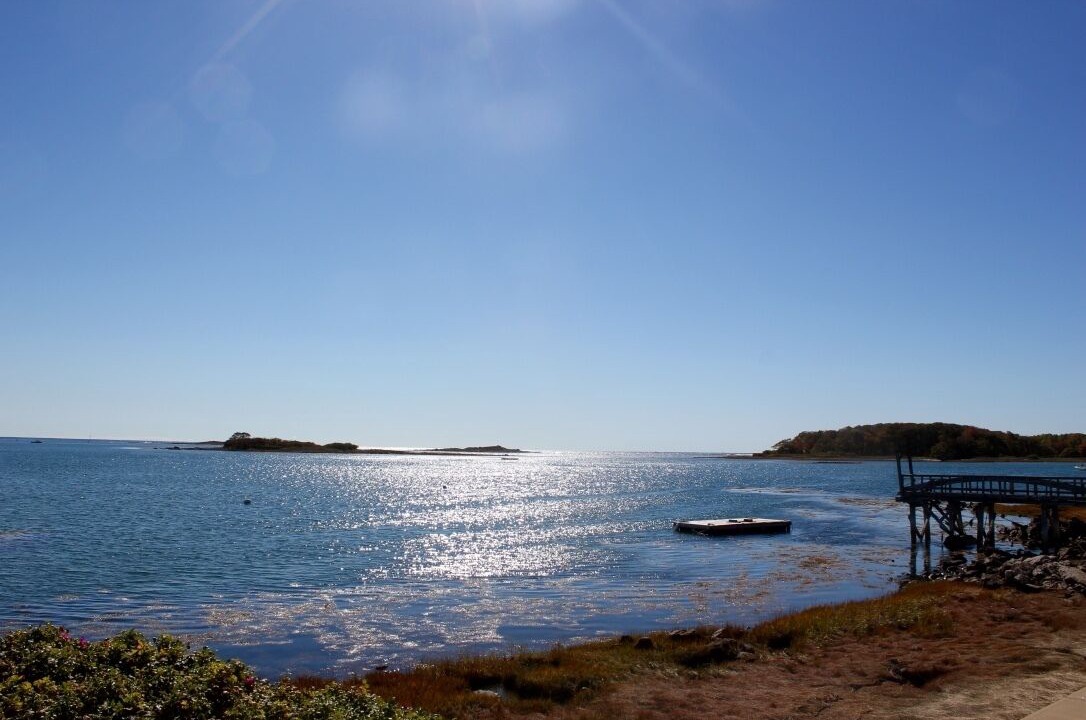 Photo of Others in Cape Porpoise