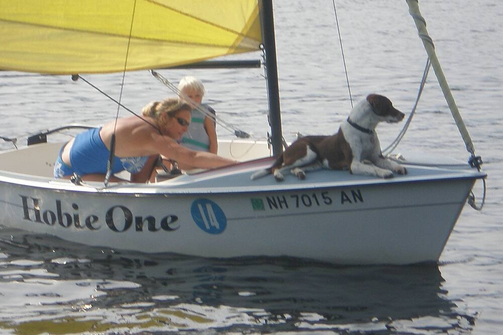 Photo of Others in Rangeley