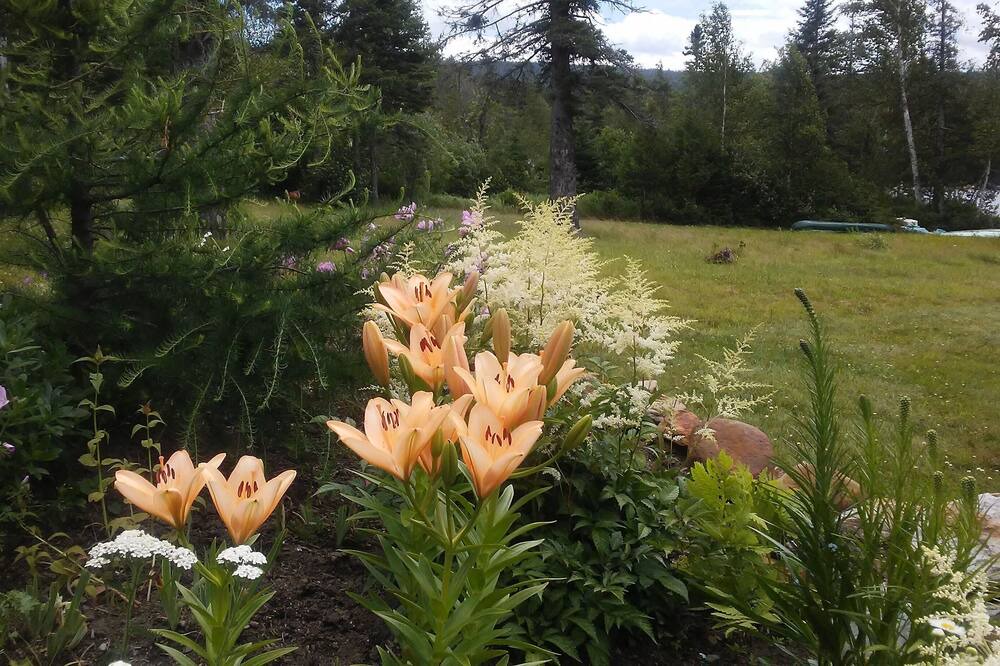 Photo of Others in Rangeley