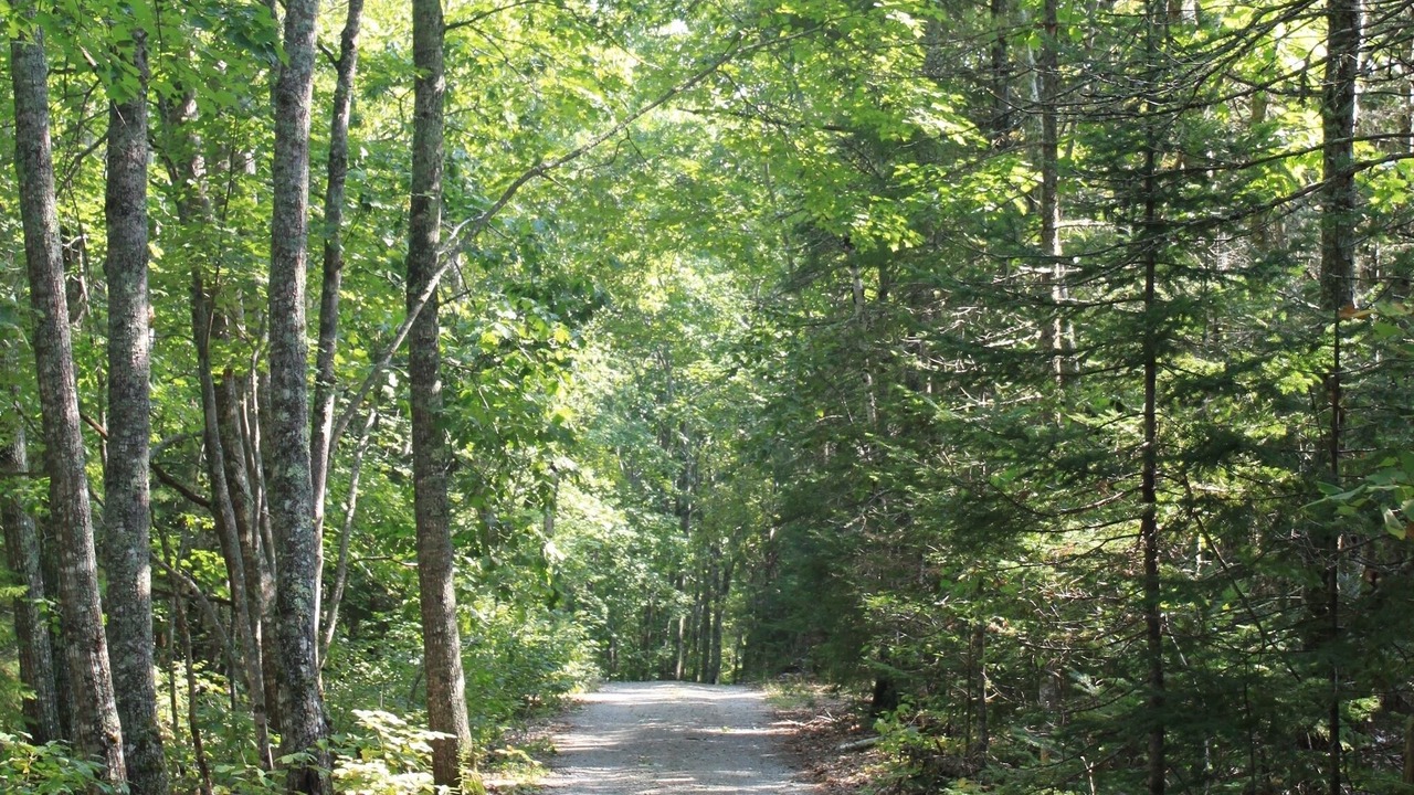 Photo of Outdoor in Franklin