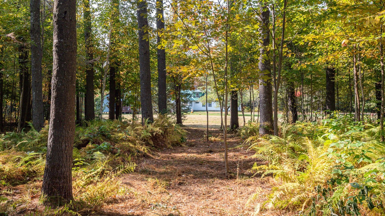 Photo of Outdoor in Sunday River Area