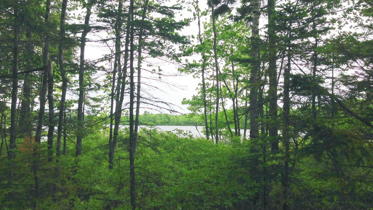Photo of Outdoor in Mount Desert