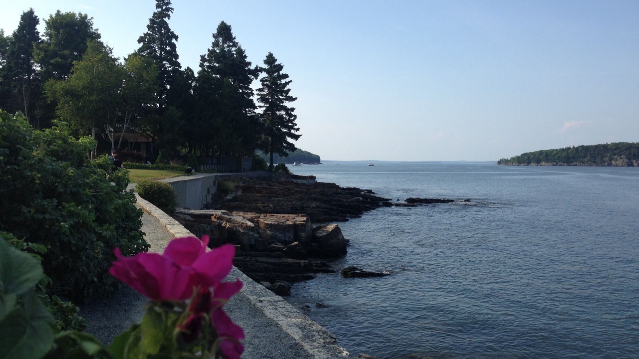 Photo of Others in Mount Desert