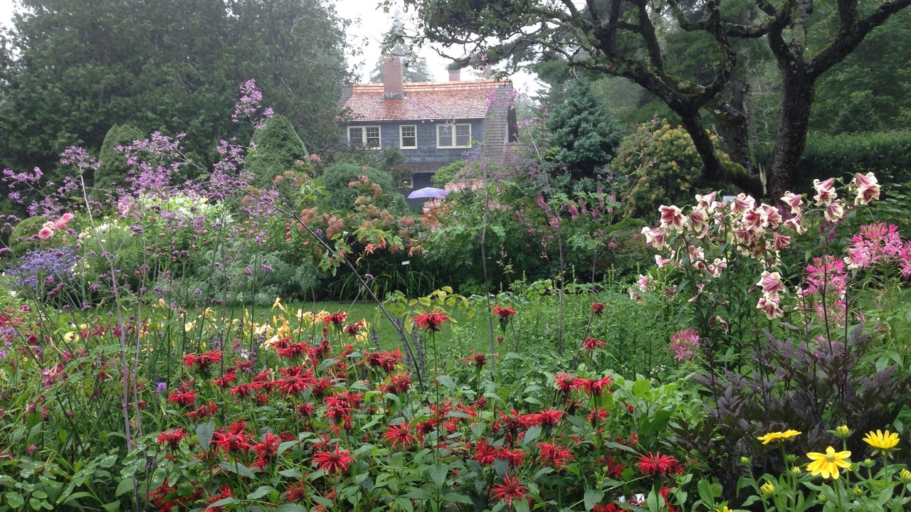Photo of Outdoor in Mount Desert