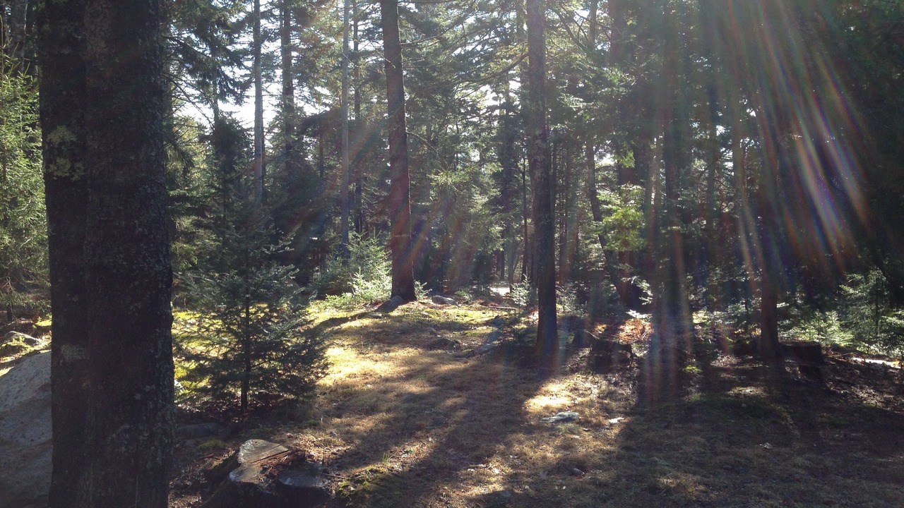 Photo of Outdoor in Mount Desert