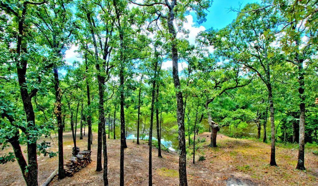 Photo of Outdoor in Wills Point