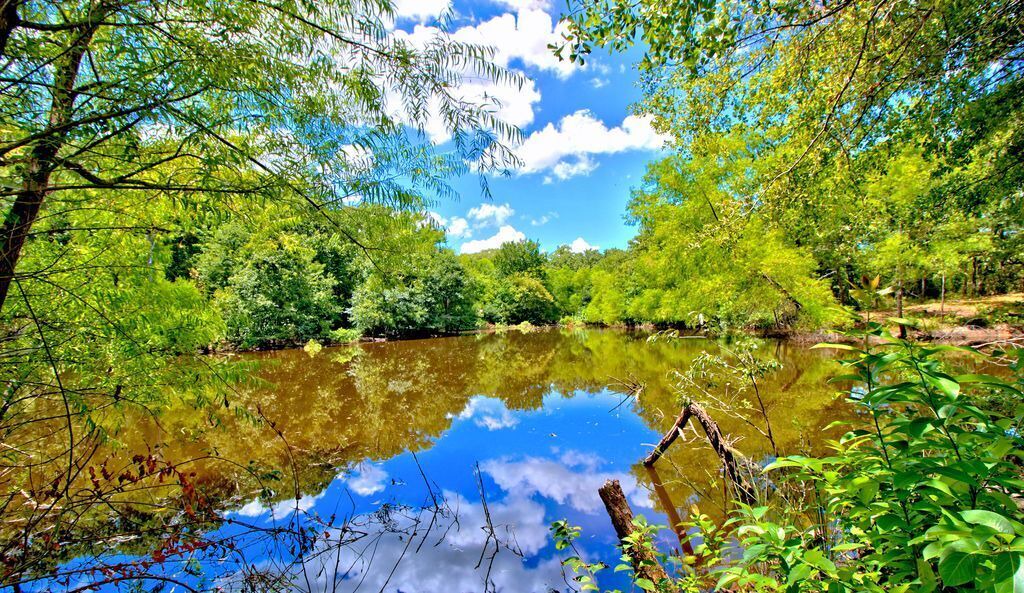 Photo of Outdoor in Wills Point