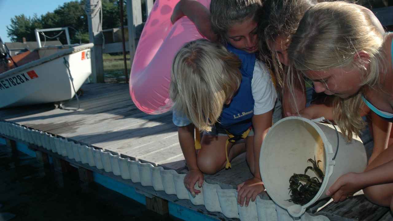 Photo of Others in Cape Porpoise