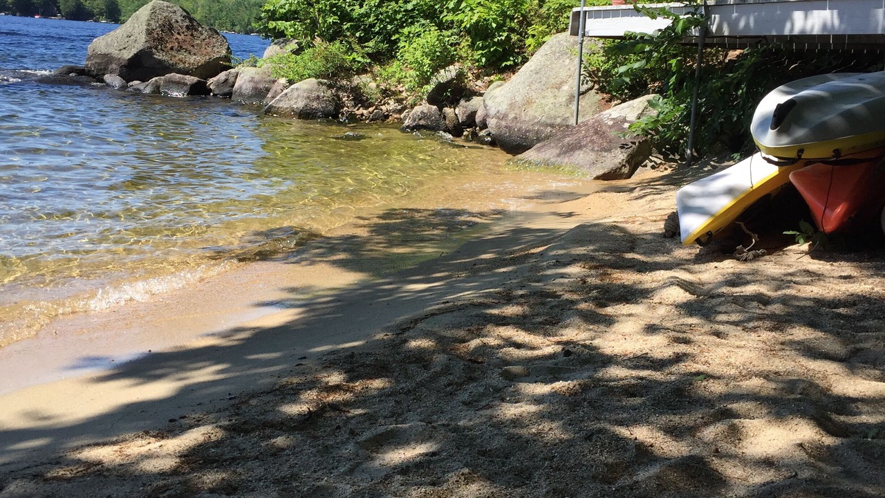 Photo of Others in South Casco