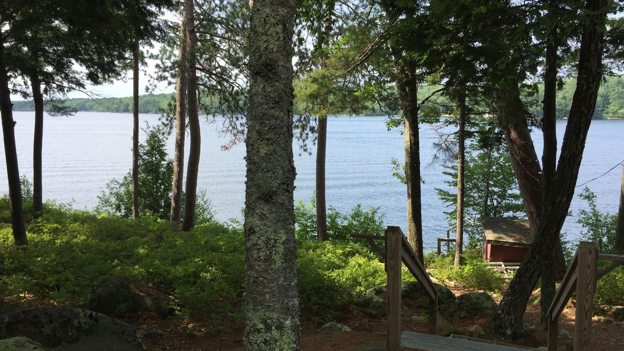 Photo of Outdoor in South Casco